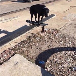 Meet your Posher, Garrett